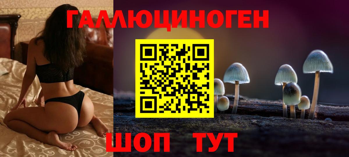 Галлюциногенные грибы прущие грибы  Вход с VPN  Славгород 
